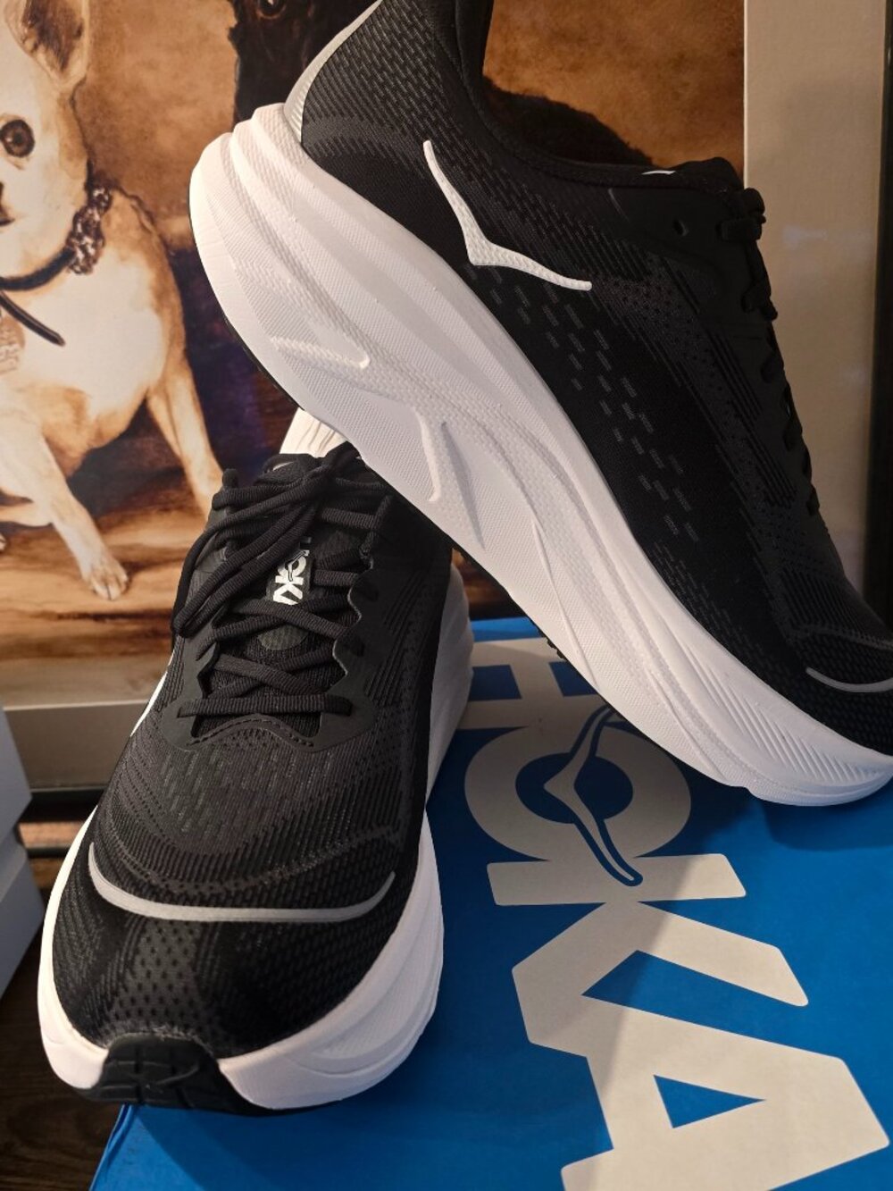 Hoka One One Skyflow Black / White 1155117-BWHT Men's Size 12 EE Wide New